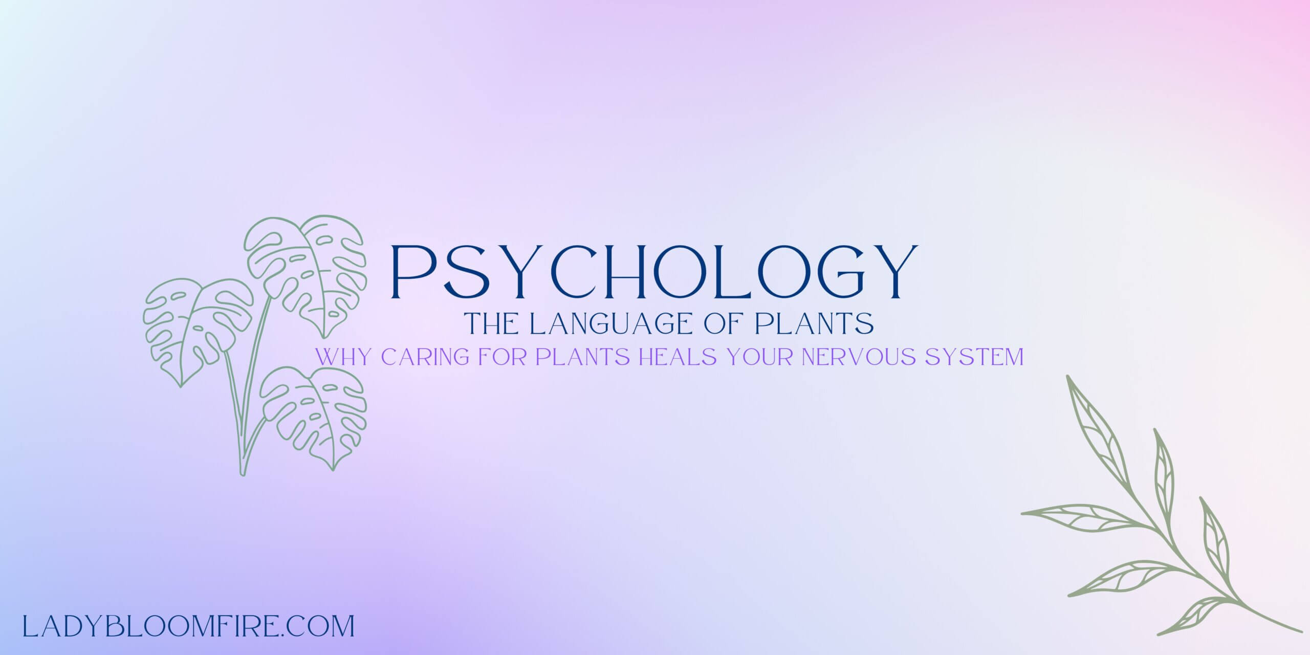 You are currently viewing 🌑 The Language of Plants